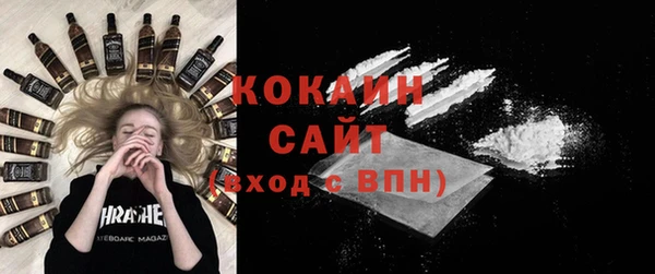 Альфа ПВП Каменка