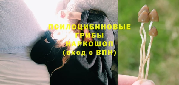гашишное масло Каменногорск