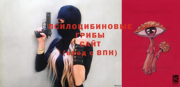 стафф Каменск-Шахтинский