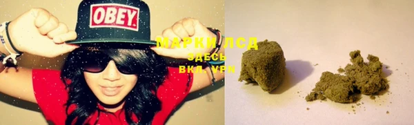 стафф Каменск-Шахтинский