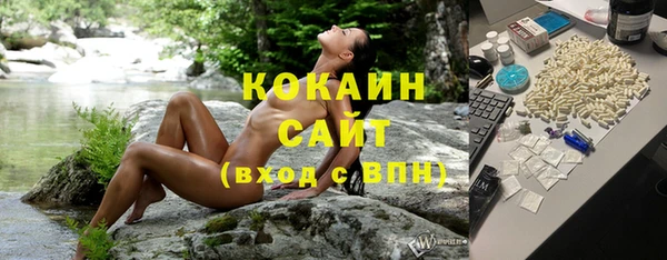 Альфа ПВП Каменка