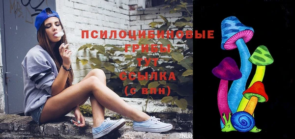 Альфа ПВП Каменка