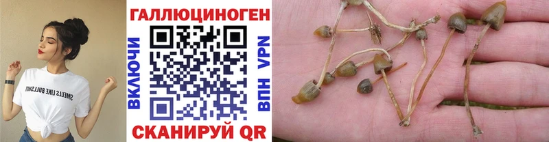 Псилоцибиновые грибы Magic Shrooms  Купить где  Заволжье 