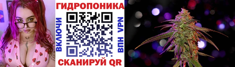 Купить закладки  Заволжье  Канабис ГИДРОПОН 